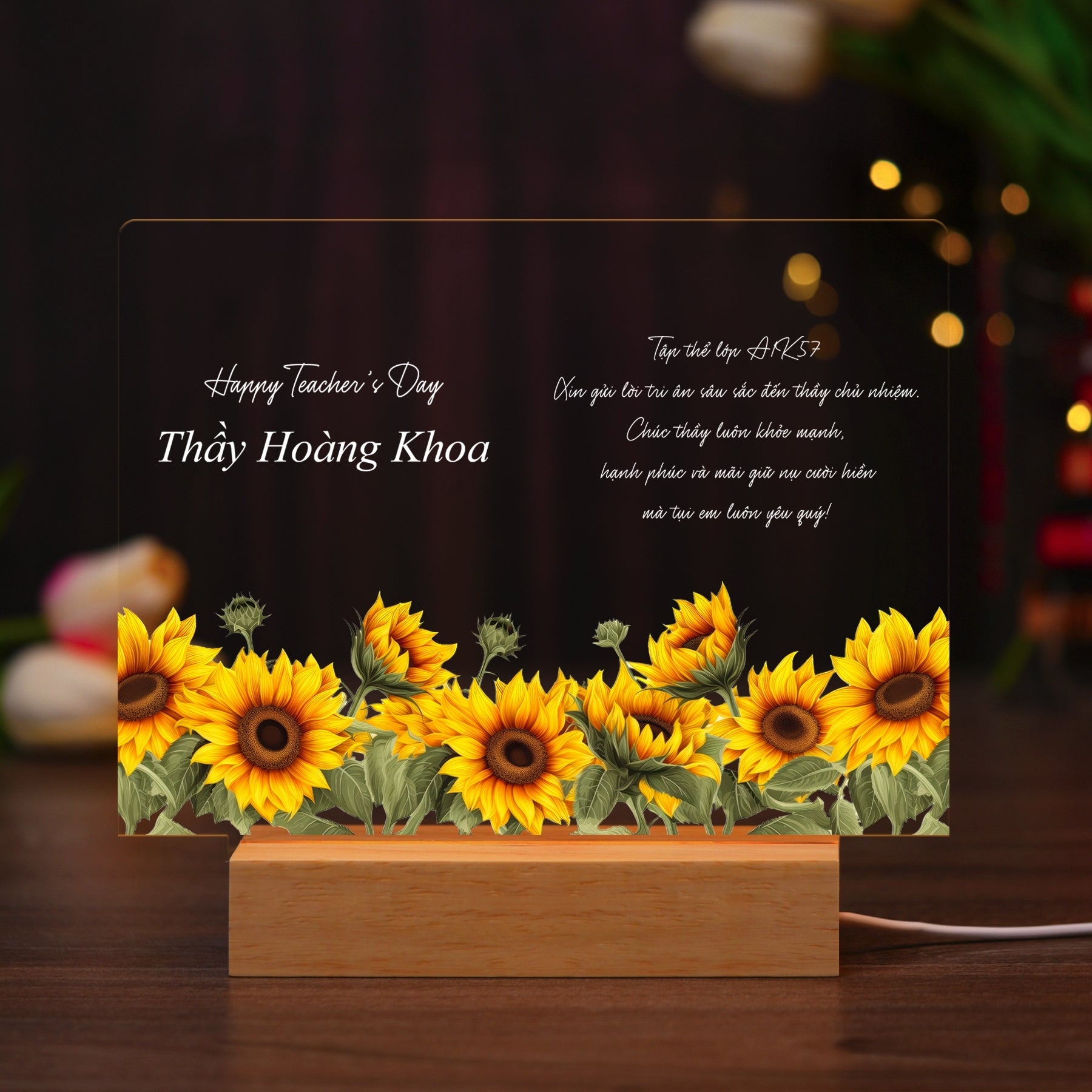 ĐÈN NGỦ KỶ NIỆM THẦY CÔ - Thiết kế theo yêu cầu - Đèn LED 3D trang trí phòng, quà tặng tri ân